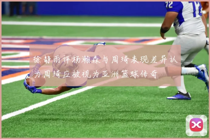 徐静雨评杨瀚森与周琦表现差异认为周琦应被视为亚洲篮球传奇