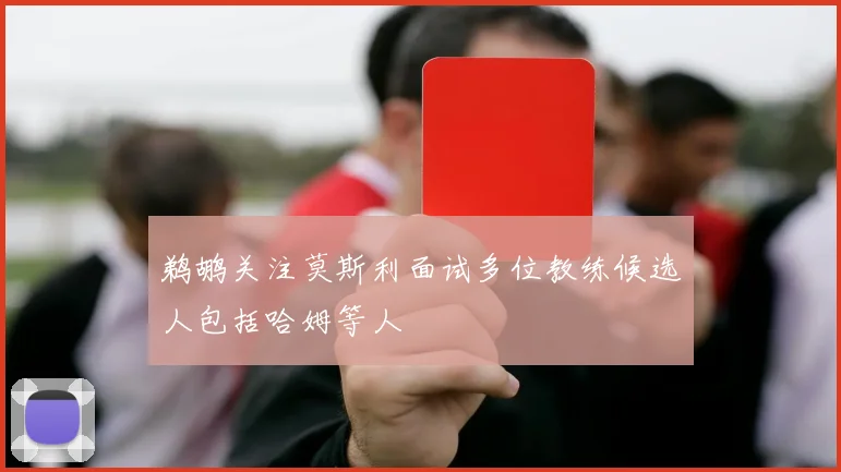 鹈鹕关注莫斯利面试多位教练候选人包括哈姆等人