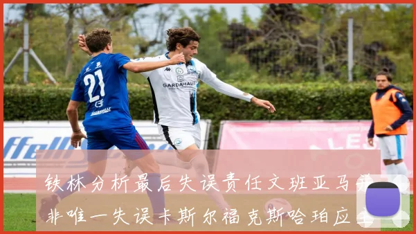 铁林分析最后失误责任文班亚马并非唯一失误卡斯尔福克斯哈珀应主动接球