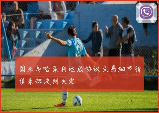 国米与哈莱利达成协议交易细节待俱乐部谈判决定